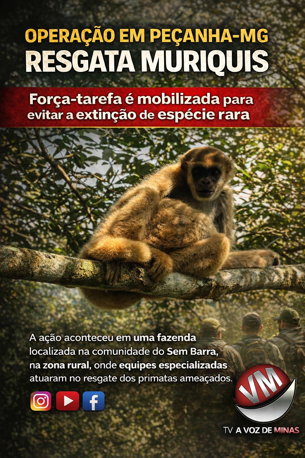 No momento, você está visualizando Operação em Peçanha-MG resgata “Muriquis” e Mobiliza Força-tarefa para evitar extinção de espécie rara